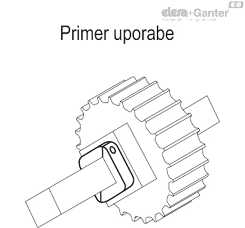 ANPS_Q_ACC_EXAMPLE_SL