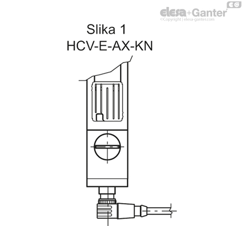 HCV_E_AX_FIG1_SL