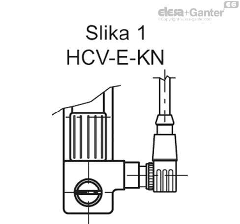 HCV_E_FIG1_SL