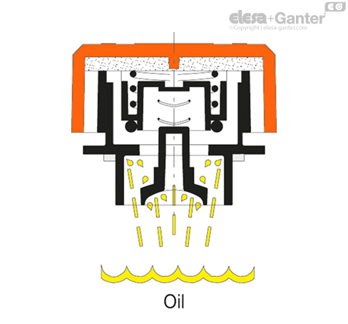 SFW_P_SEC_EXAMPLE_SL