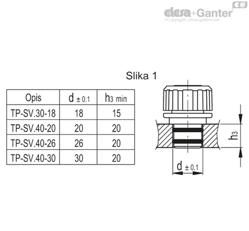 TP_SV_MOUNT_EXAMPLE_SL